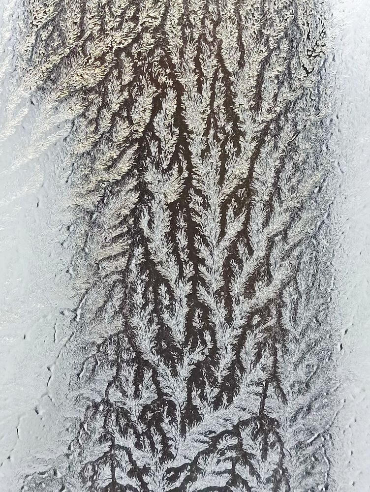 Photograph by Сергей Петров