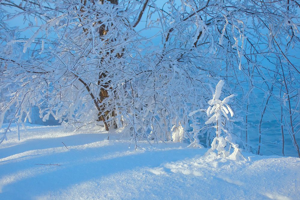 Южная зима. Берег.