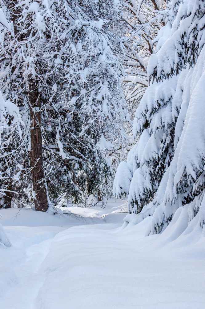 Photograph by Ольга Заповедная