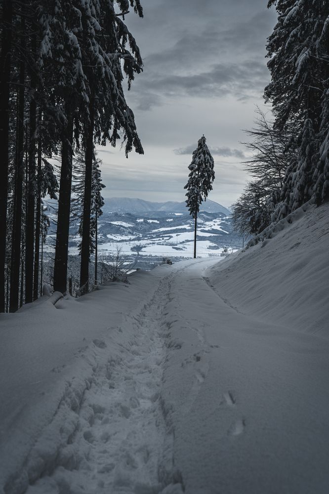 Photograph by Jaroslav Svetlossak