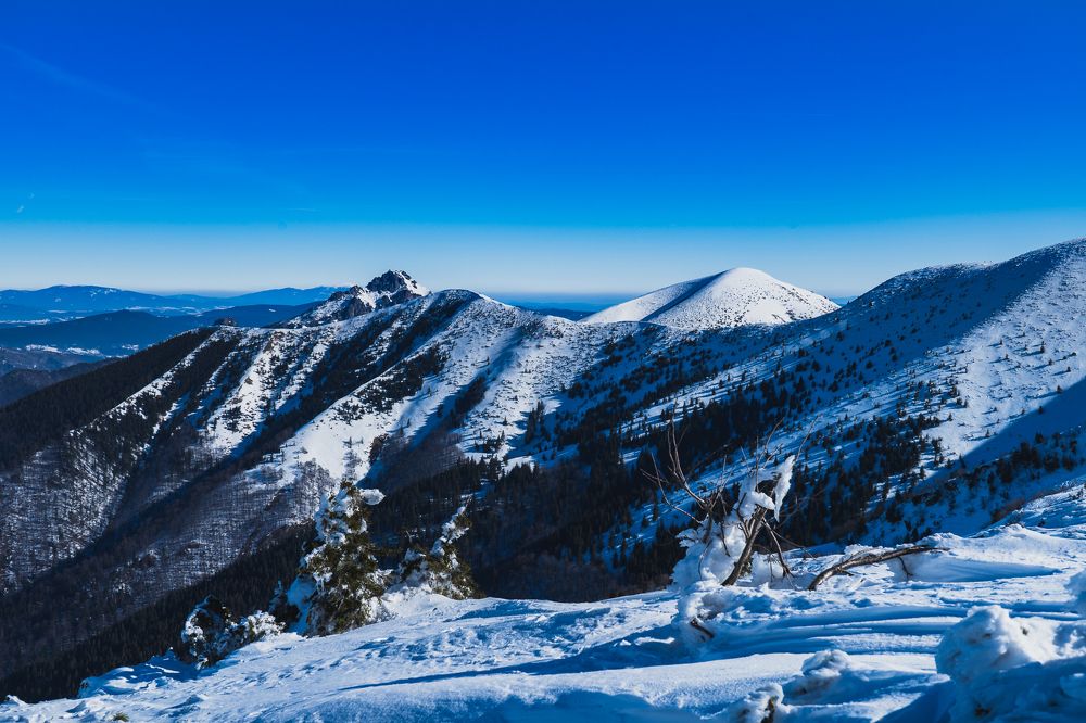 Photograph by Jaroslav Svetlossak