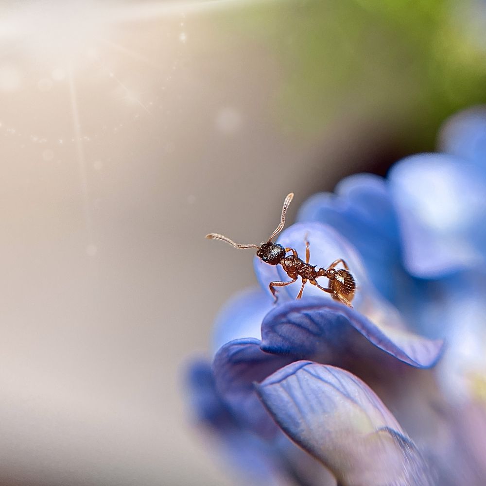 Photograph by Любовь Козлова