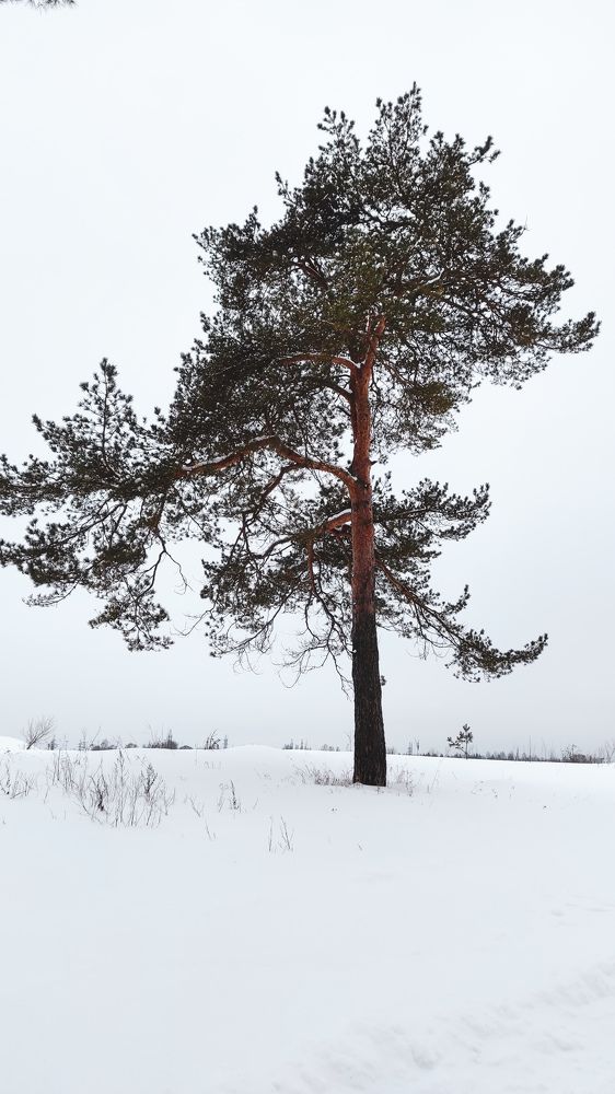 Photograph by Ксения Иванова