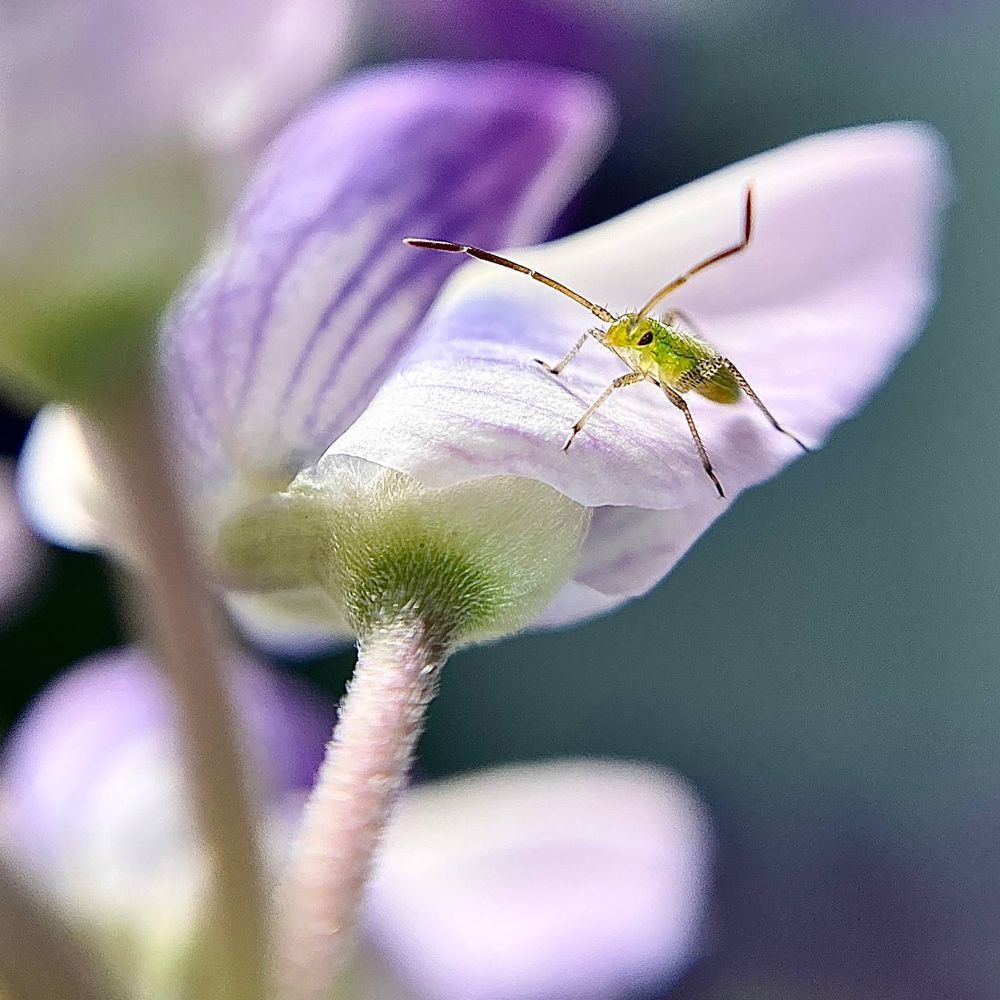 Photograph by Любовь Козлова