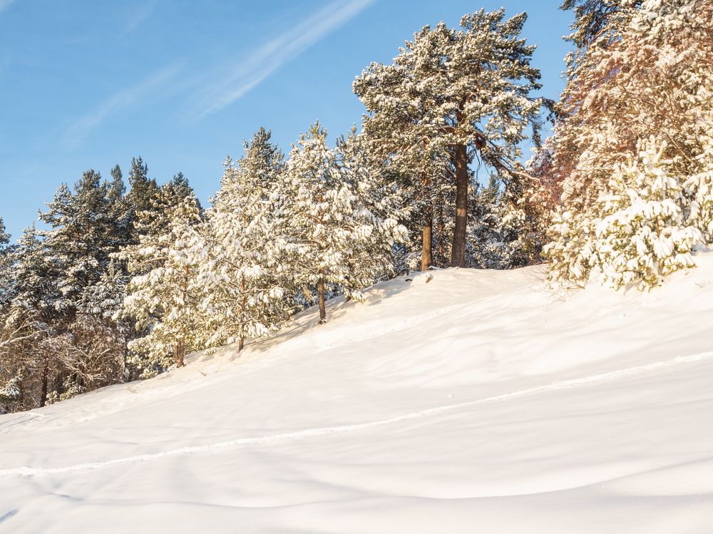 Photograph by Александр