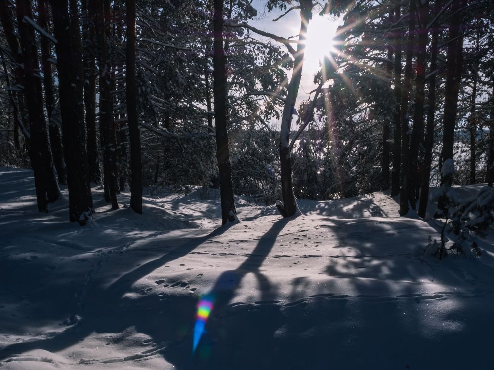 Photograph by Александр