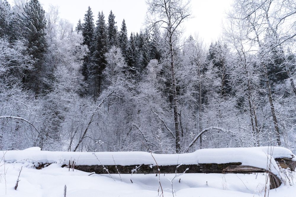 Photograph by Екатерина Дубровская