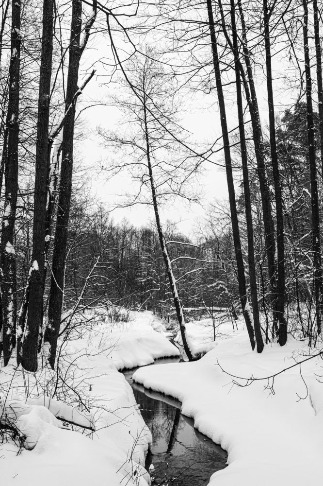 Photograph by Марат Марик