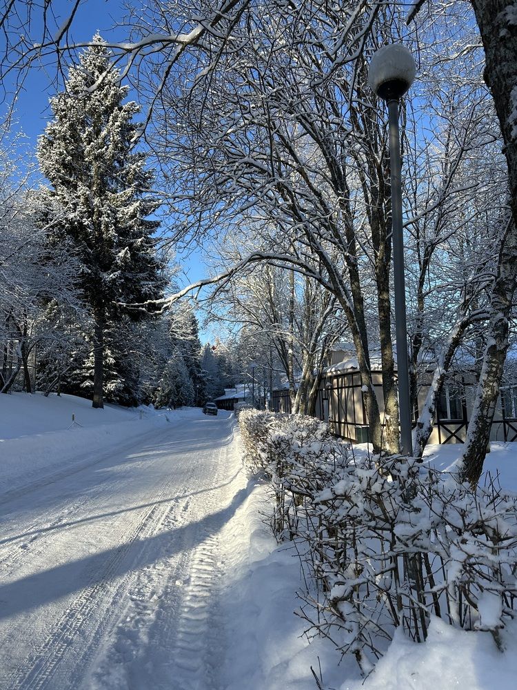 Photograph by Фролкина Рената