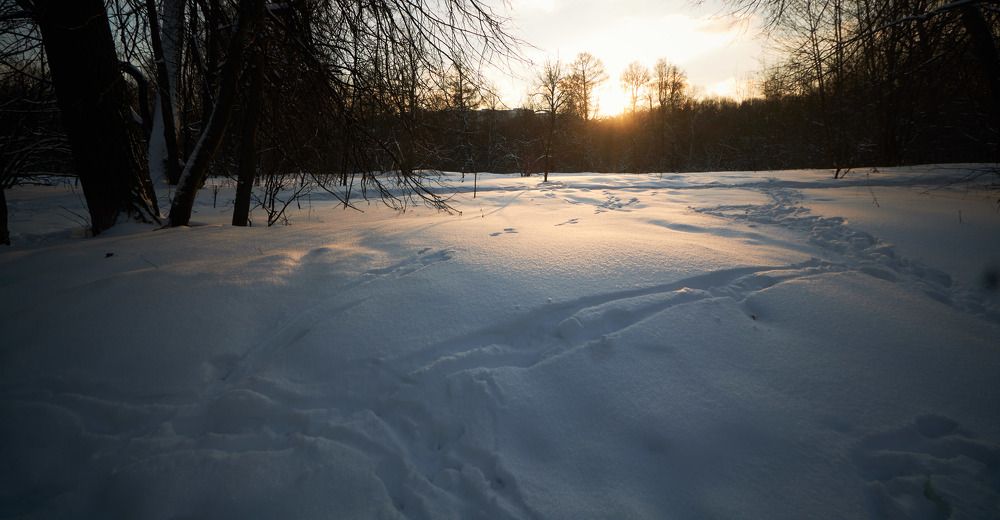 Photograph by Inna Tatarchenko