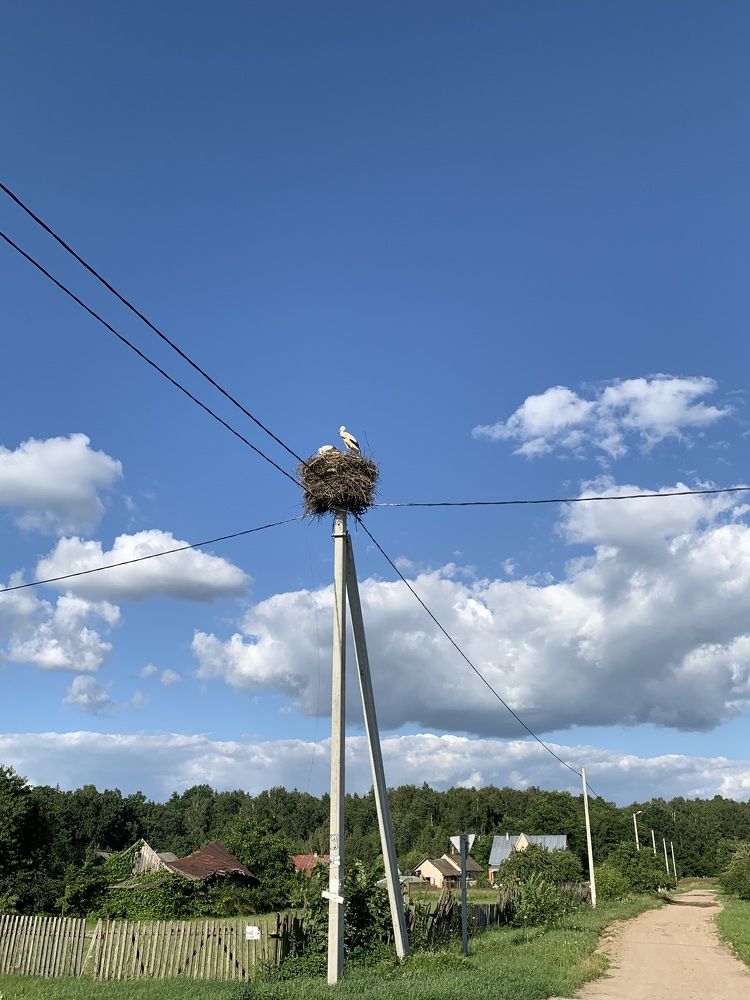Фотография автора Ирина Шпаковская