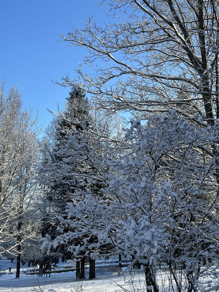 Photograph by Фролкина Рената