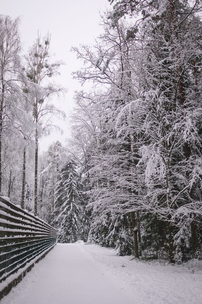 Фотография автора Виктор Мошко