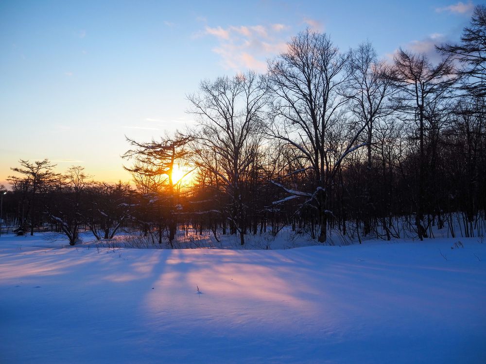 Фотография автора Olena Vorotyntseva