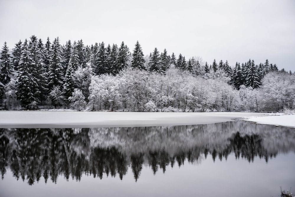 Photograph by Kristina Nutautiene