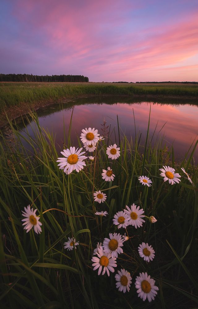 Это было прошлым летом...