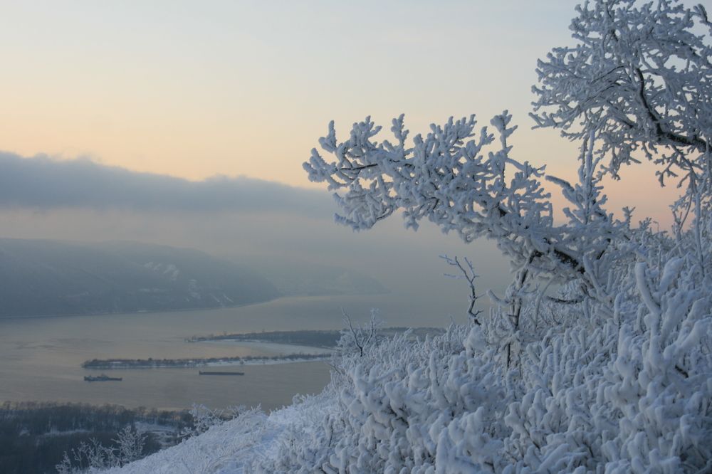 Фотография автора Татьяна Шебаршенко