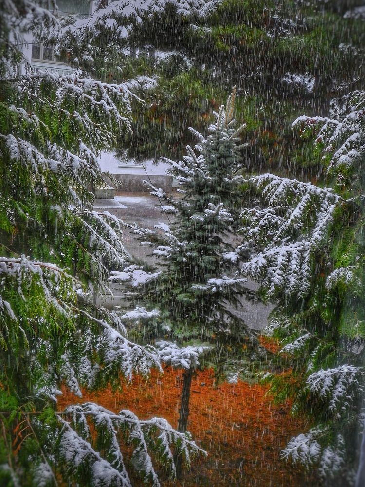 Photograph by Алла Холодова