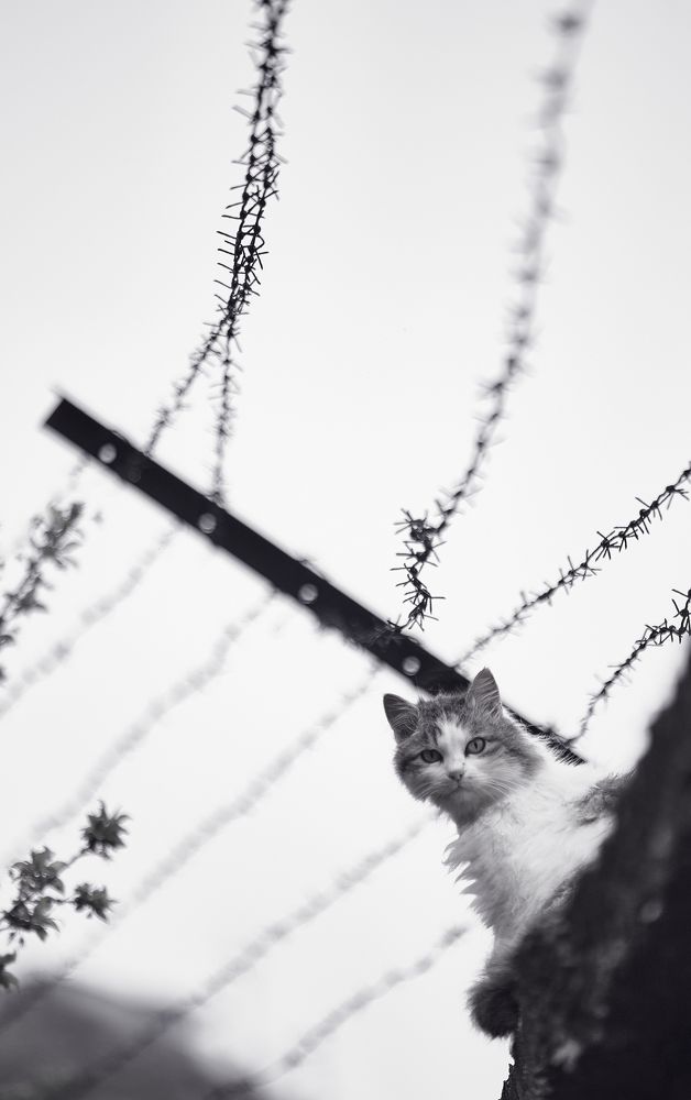 Фотография автора CIX Empire