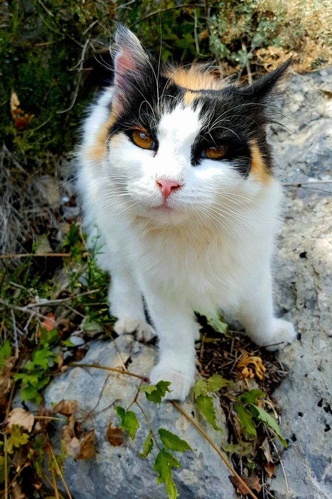 Photograph by Максим Иванов