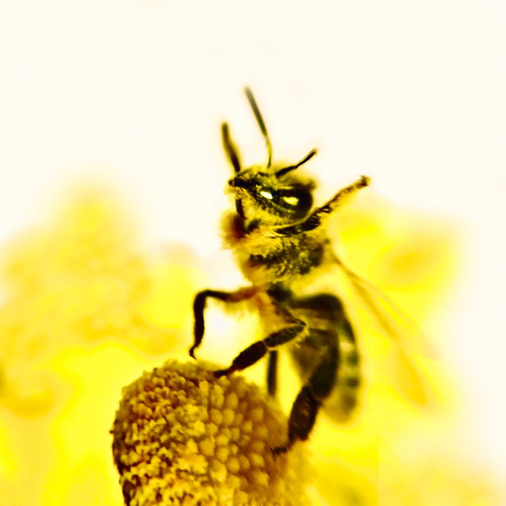 Photograph by Любовь Козлова