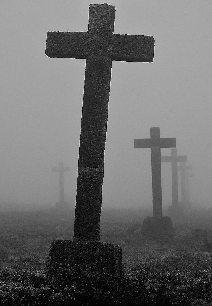 Photograph by JOSE LIMA RODRIGUES