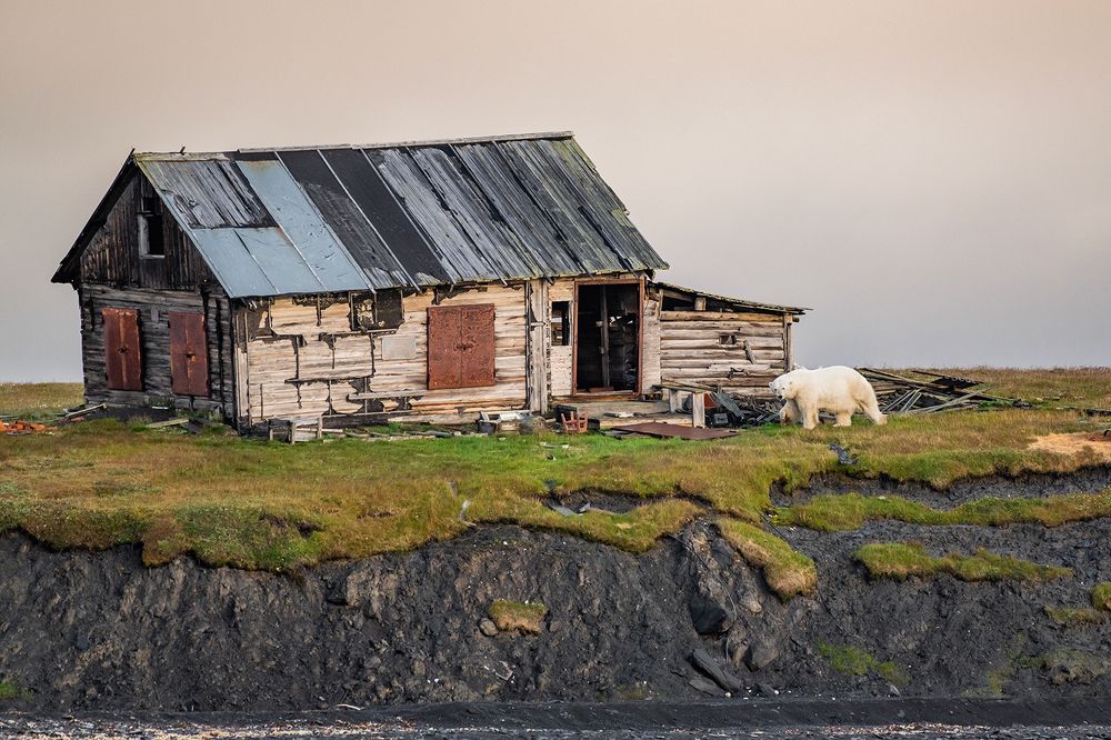 Хозяин Арктики