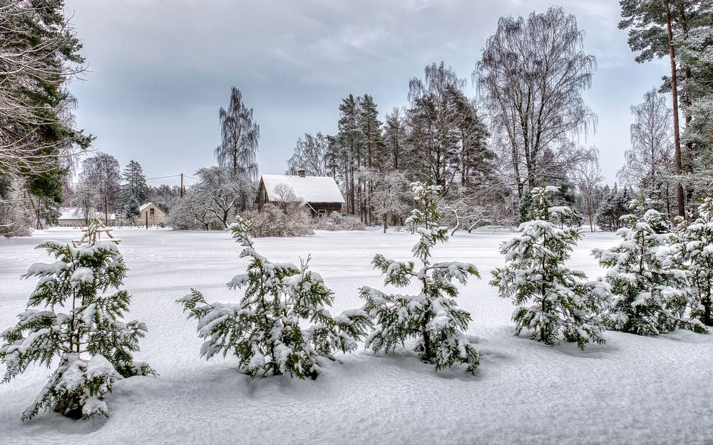 Photograph by Albina Kulikova