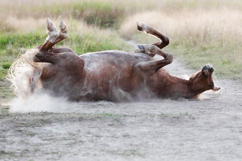 Фотография автора Helena