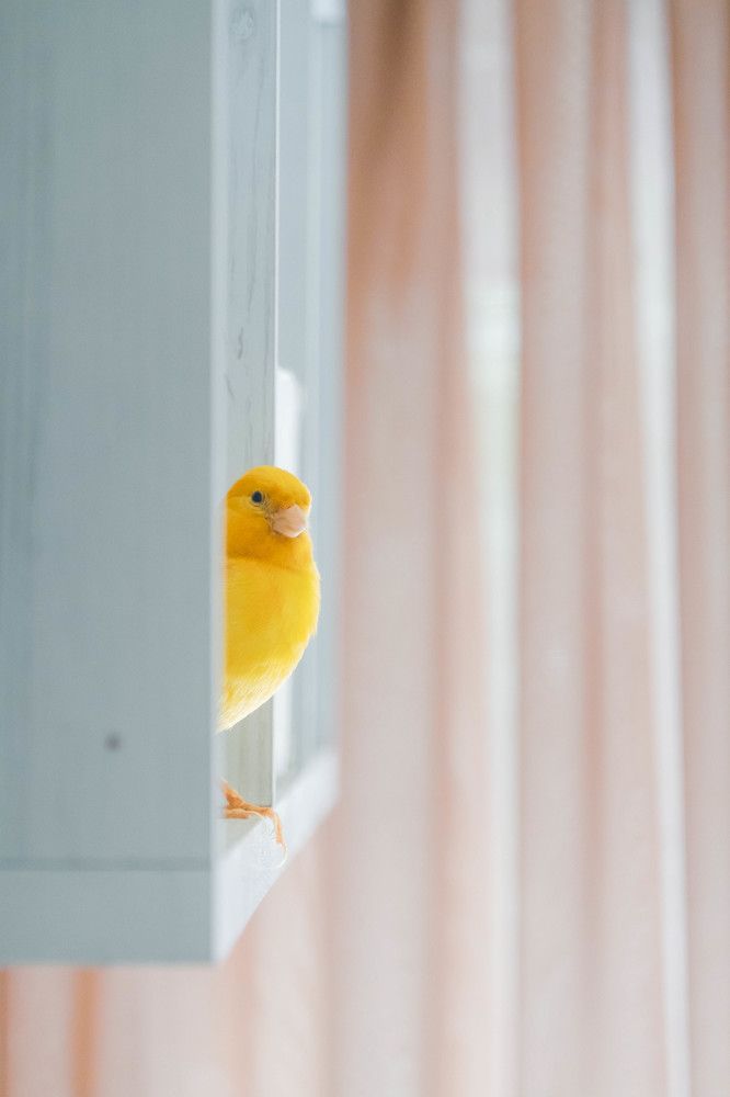 Mike: the alarm that i use