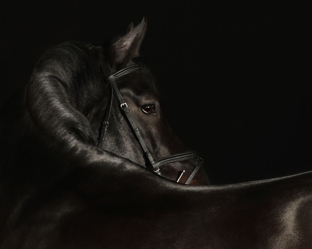 Фотография автора Helena