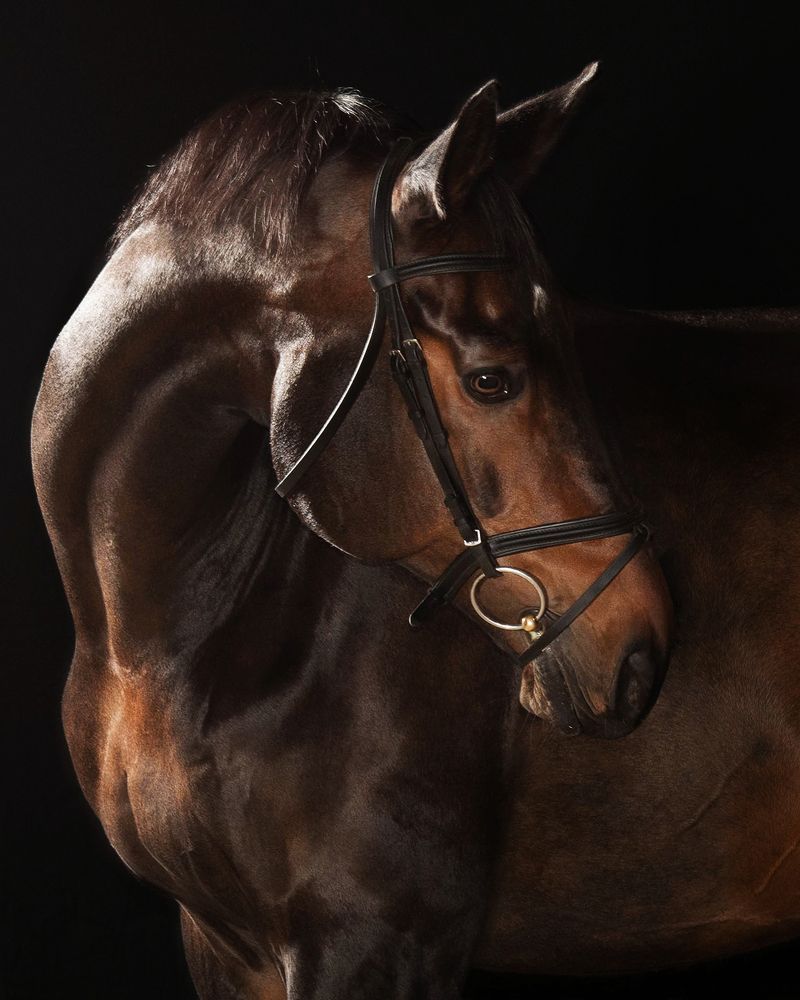 Фотография автора Helena