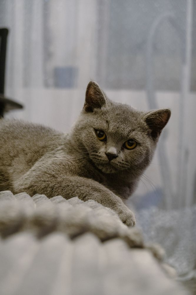 My sleepy warm scarf