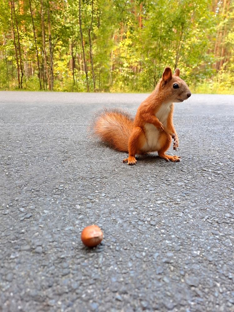 В раздумьях