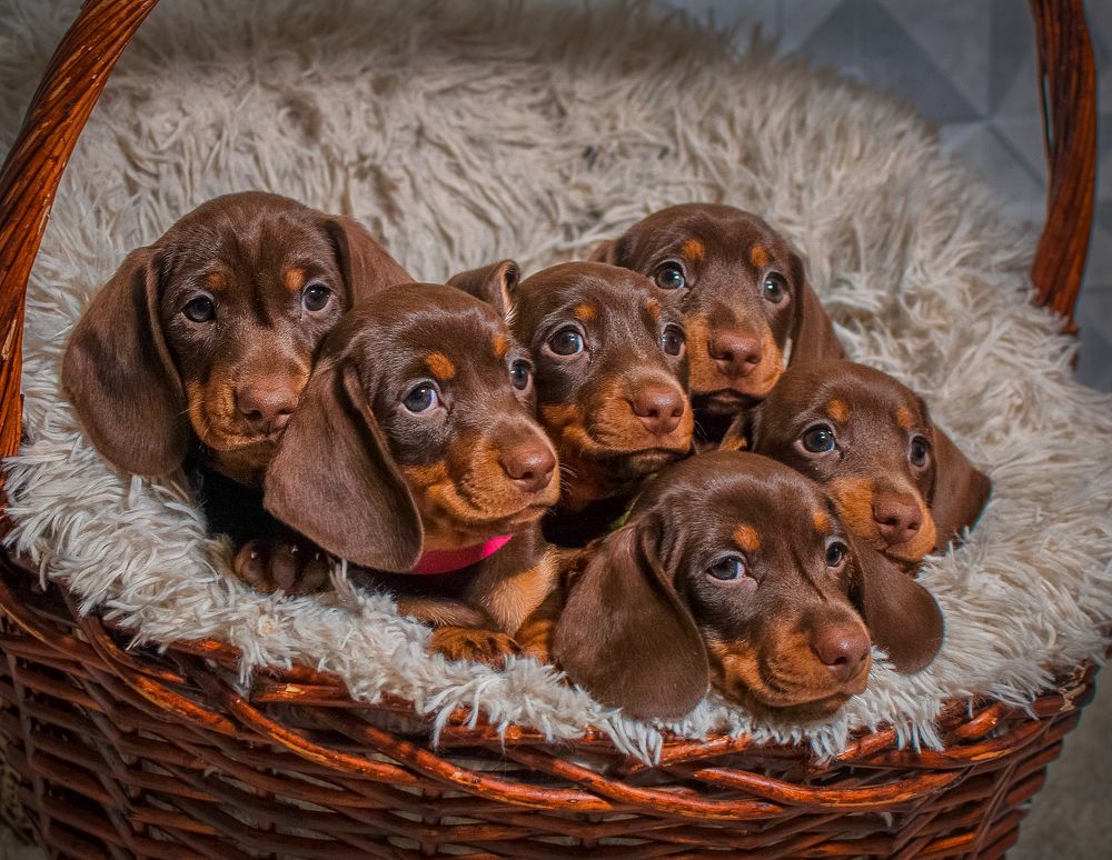 Photograph by Екатерина Лебедева