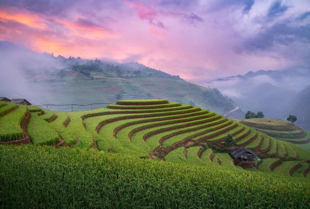 Photograph by Эрнест Вахеди