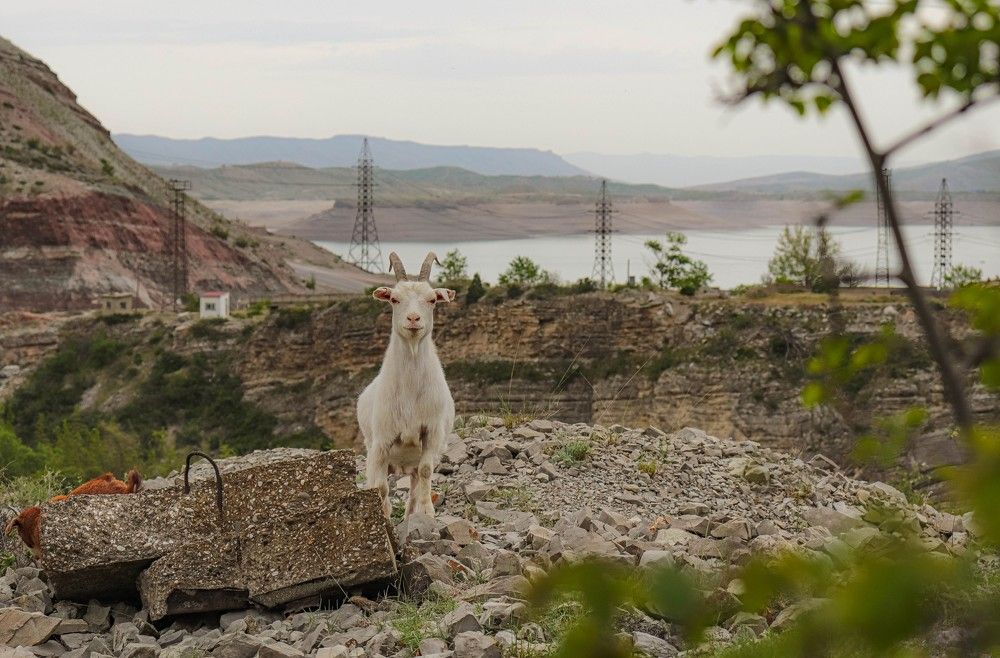 Photograph by Дмитрий Свинухов