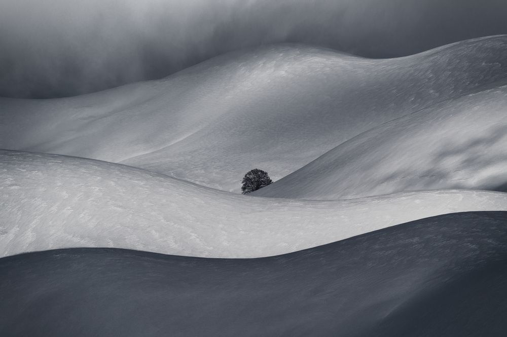 Between curves and light