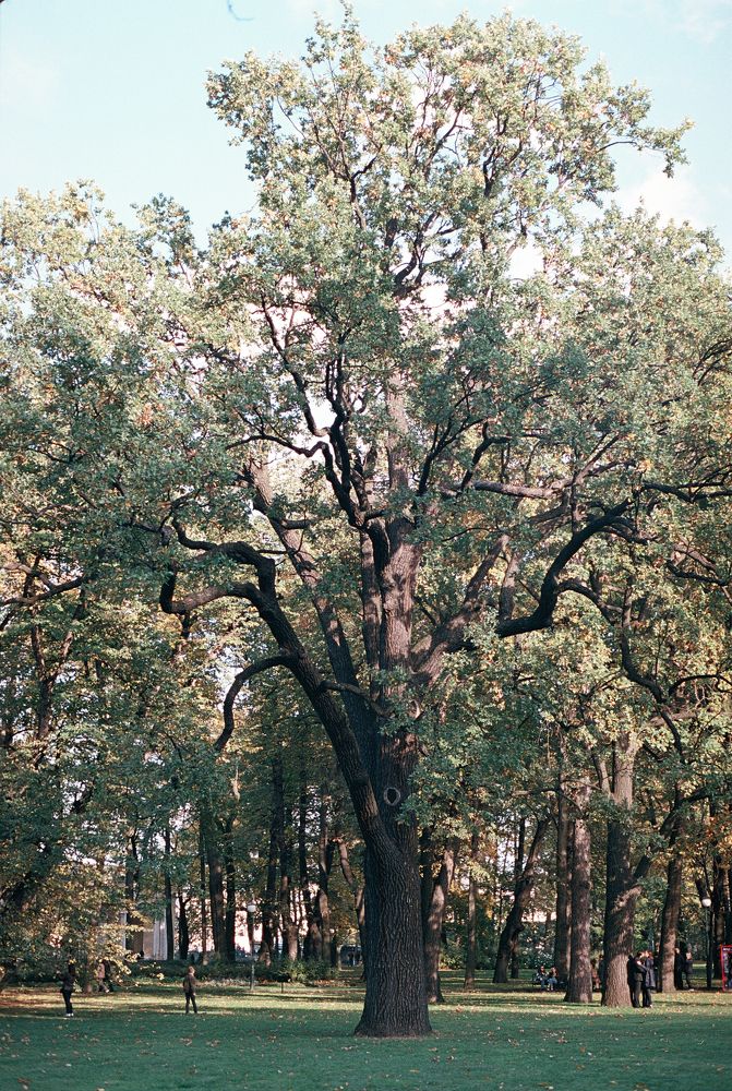 Photograph by Наталия Карни