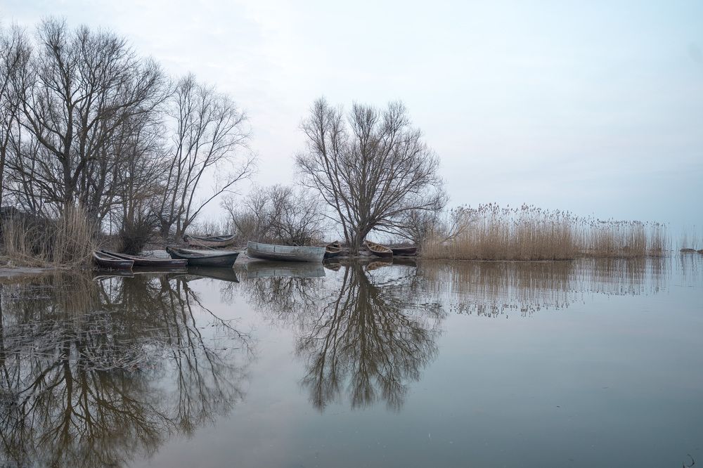 Photograph by Никита Касторный