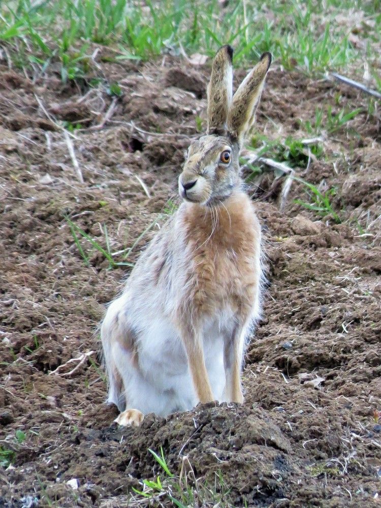 Photograph by Светлана Башаева