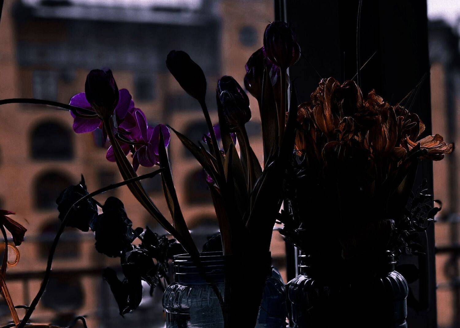 Фотография #10179331