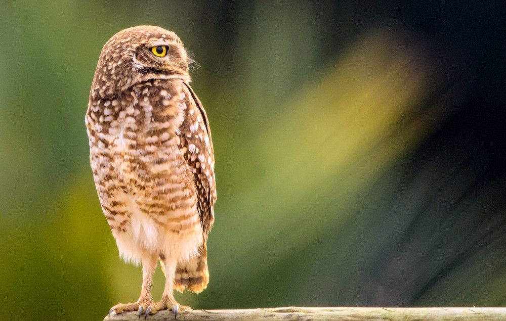 Photograph by Eduardo Bom