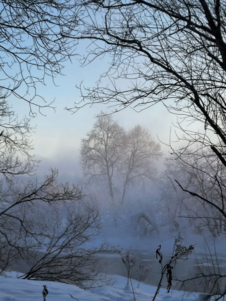 Photograph by Наталья