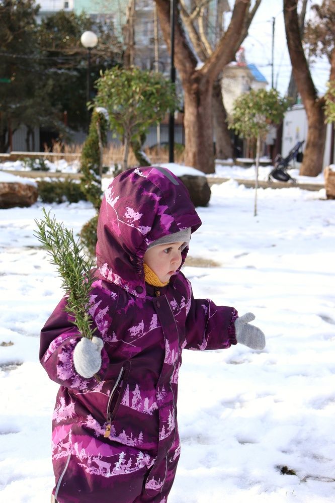 Photograph by Katerina Akalifa