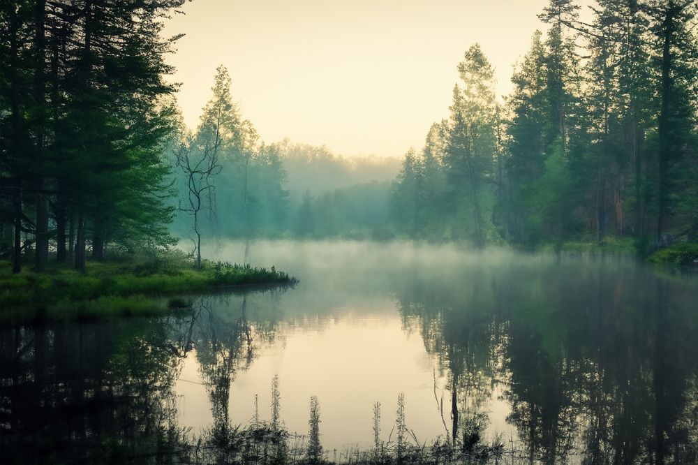 Photograph by Думнова Алёна