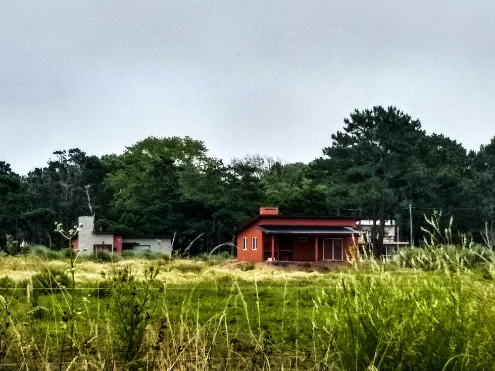 Photograph by Maria Julieta ZURZOLO