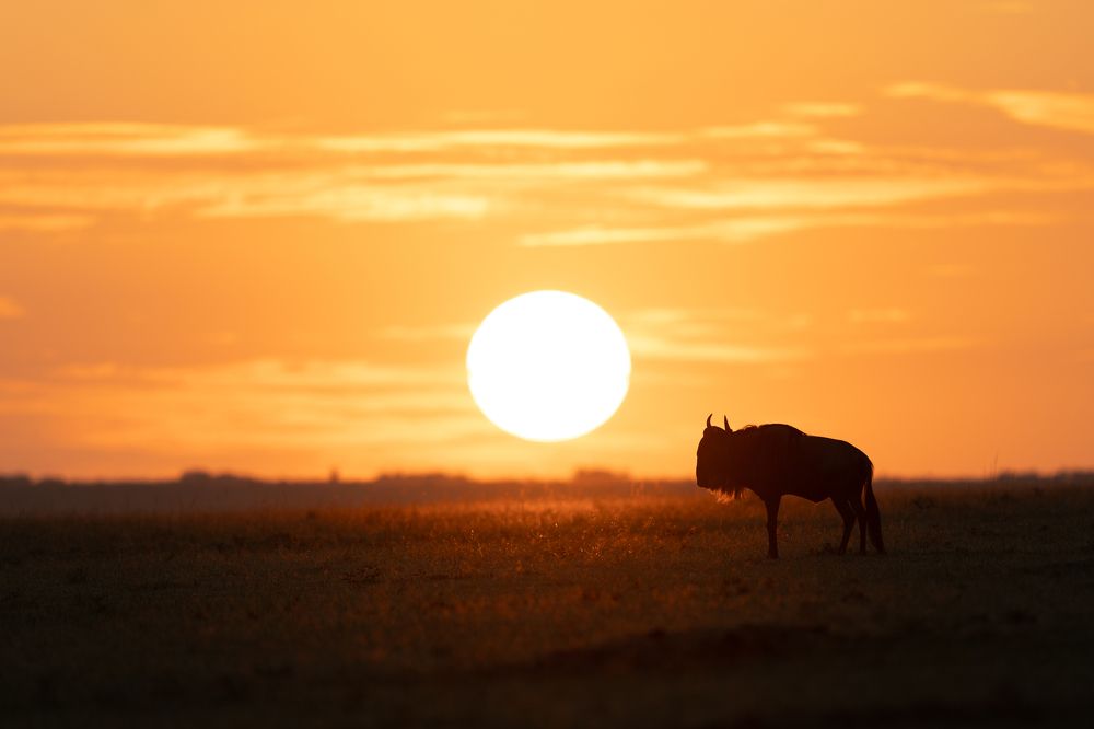 Фотография автора Karthik Subramaniam