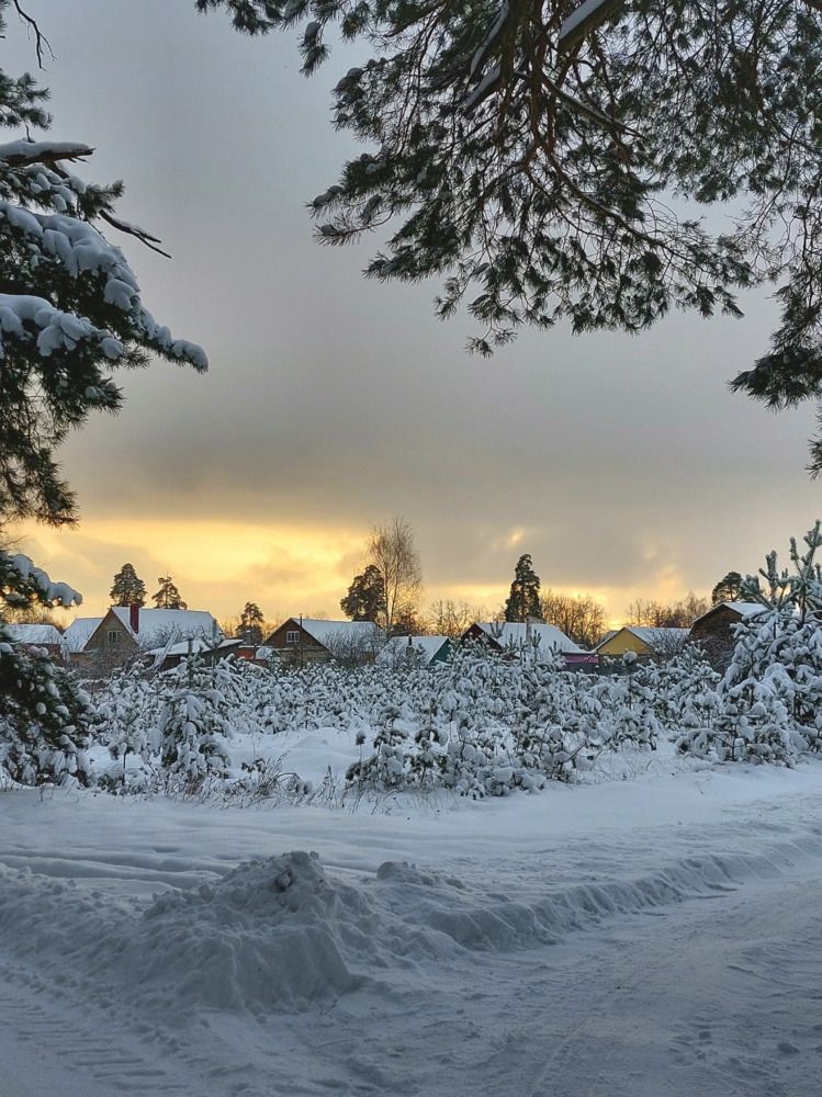 Photograph by Елена Царёва