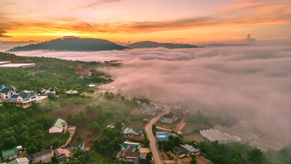 Photograph by Hai Tran